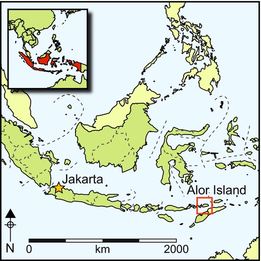 Fishing in life and death: Pleistocene fish-hooks from a burial context on Alor  Island, Indonesia, Antiquity
