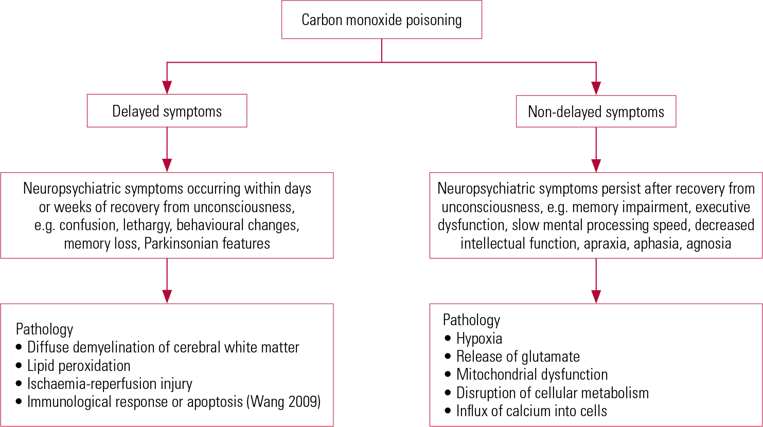 Neuropsychiatric Aspects Of Carbon Monoxide Poisoning Diagnosis And Management Advances In 6424