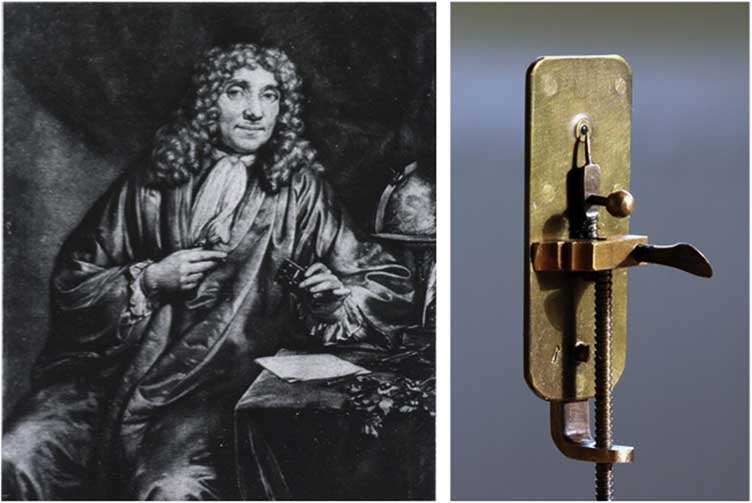 Contribution Of A V Leeuwenhoek
