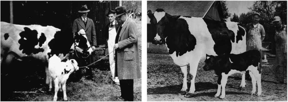Review: Historical and futuristic developments in bovine semen technology |  animal | Cambridge Core