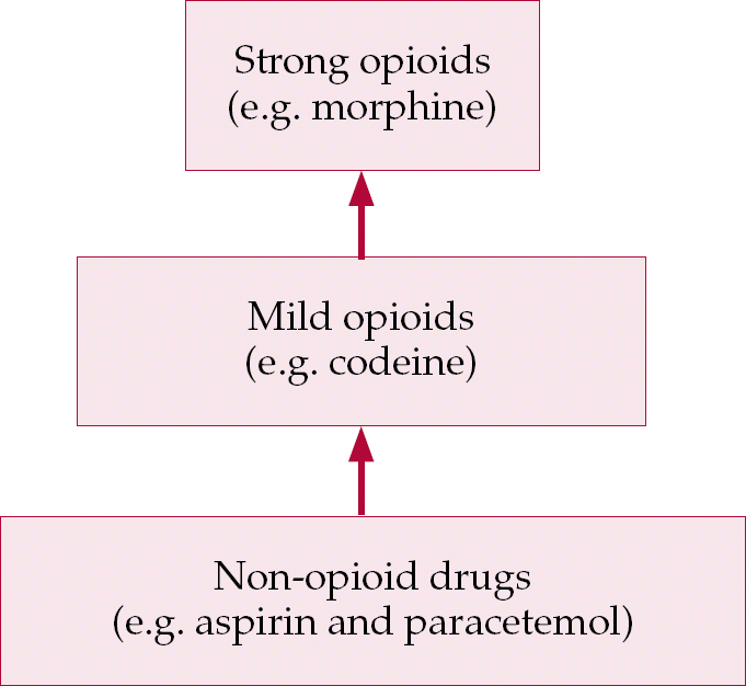 Palliative care in dementia: issues and evidence | Advances in ...