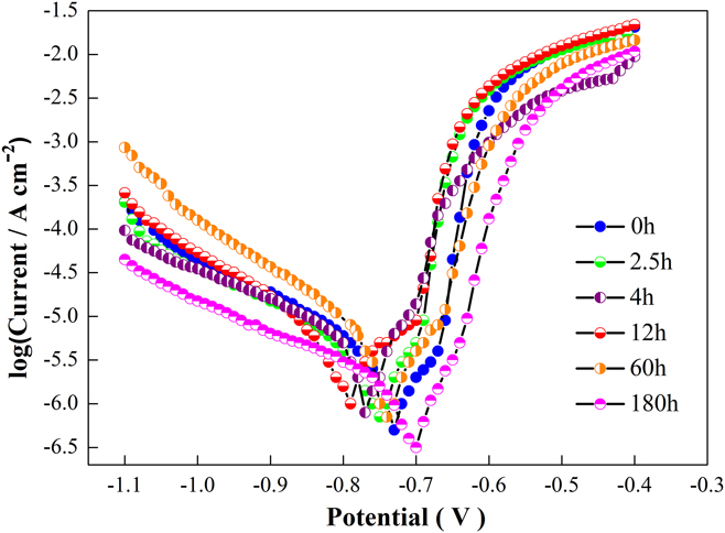 Potentiodynamic polarization curves measured in 0.5 M NaCl for bare