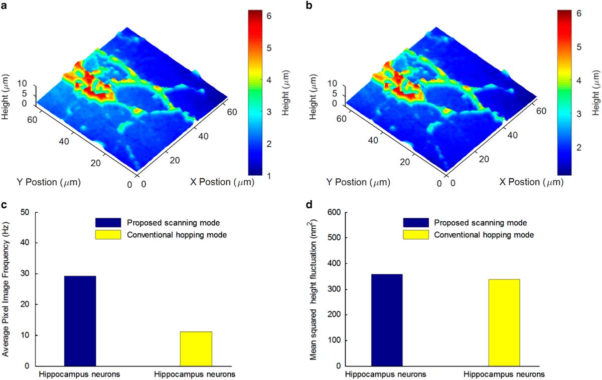 Smart Scanning Ion-Conductance Microscopy Imaging Technique Using ...