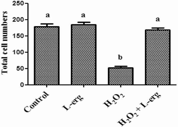 L-Ergothioneine Improves The Developmental Potential Of In Vitro Sheep ...