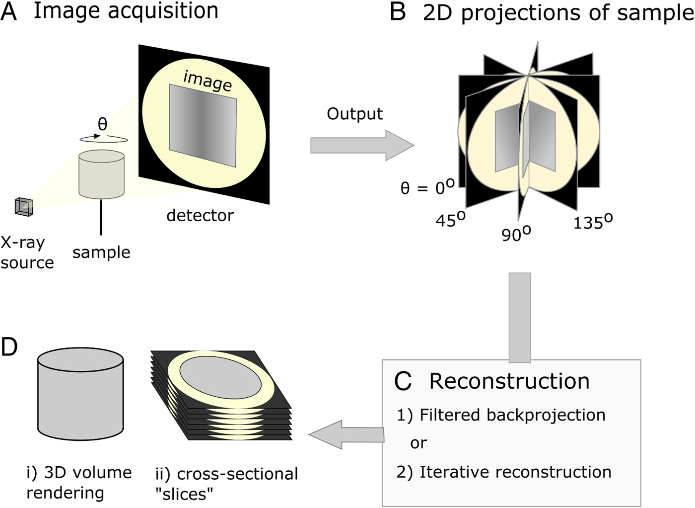 X-ray Micro-computed Tomography (μCT): An Emerging Opportunity In ...