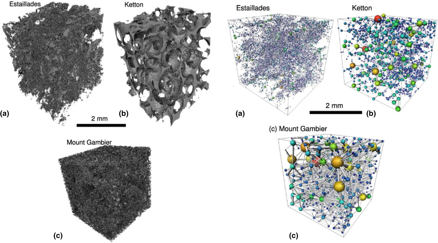Modeling Transport Phenomena in Porous Media with