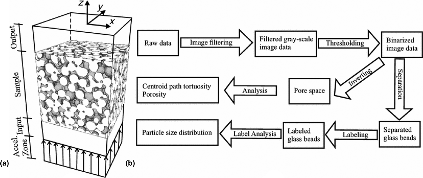 Multiscale simulation of transport phenomena in porous media