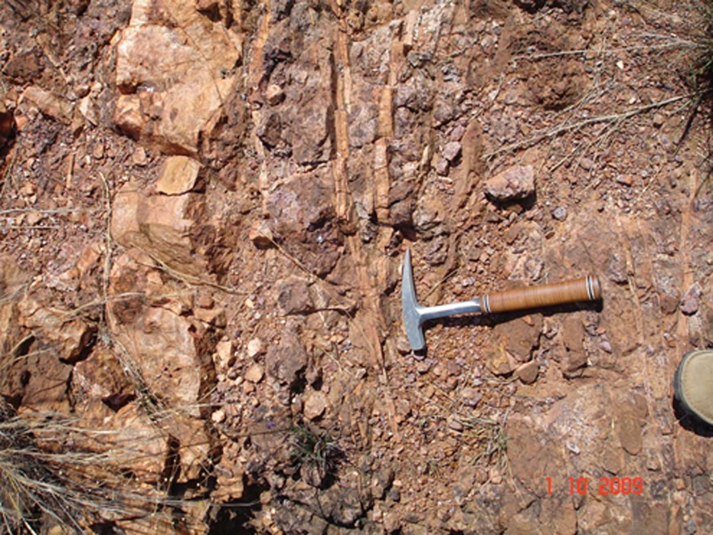 The hydrothermal Waterberg platinum deposit, Mookgophong (Naboomspruit ...