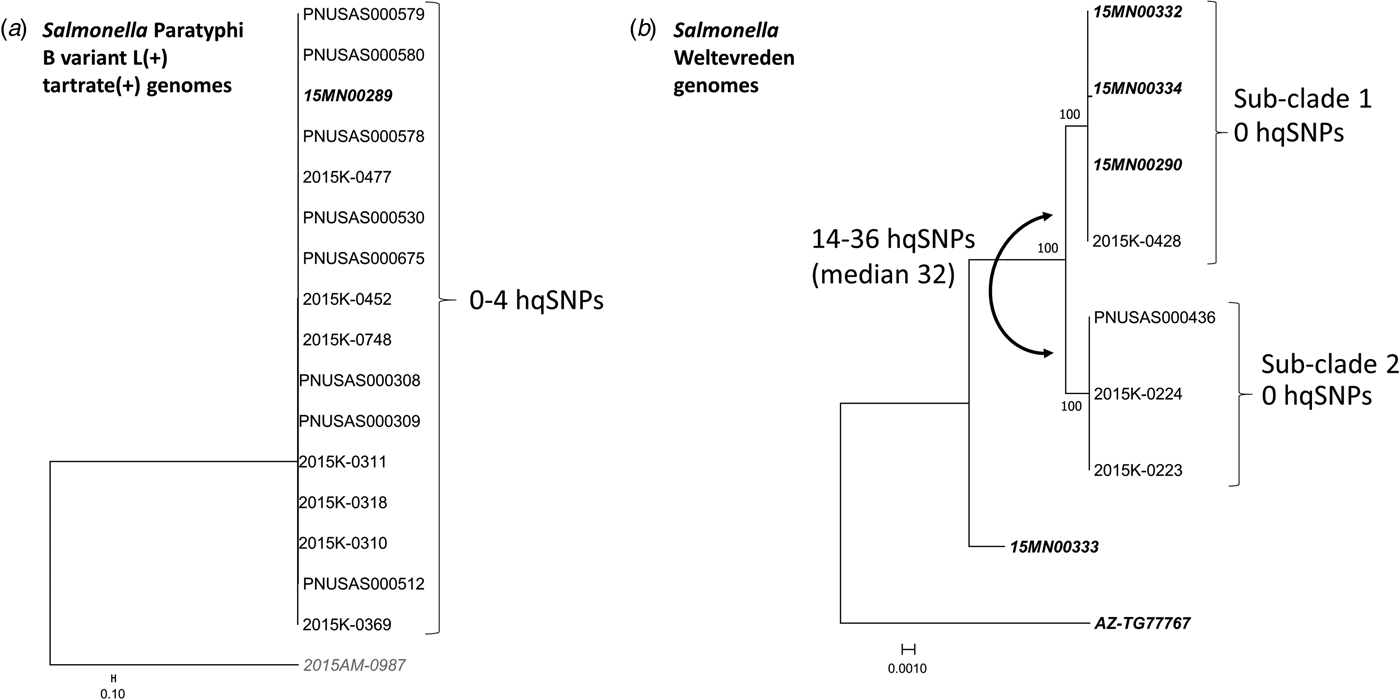 Multistate Outbreak Of Salmonella Paratyphi B Variant L(+) Tartrate ...