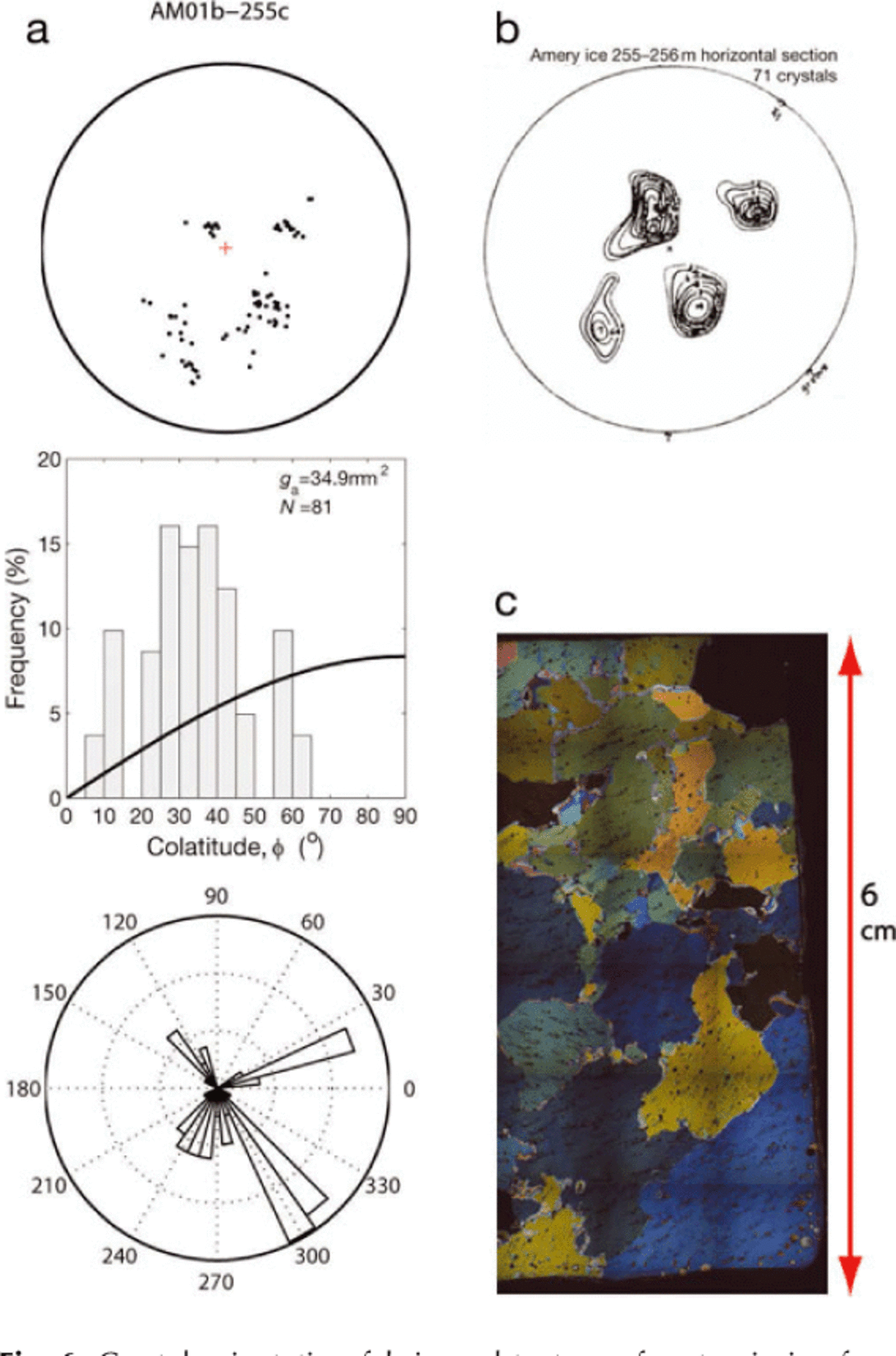 Meteoric and marine ice crystal orientation fabrics from the Amery Ice  Shelf, East Antarctica | Journal of Glaciology | Cambridge Core