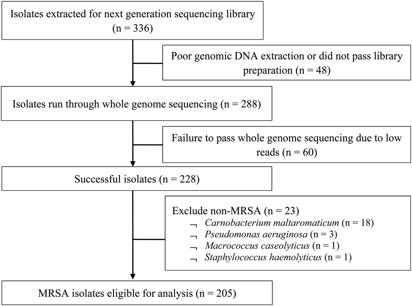 Methicillin Resistant Staphylococcus Aureus Colonisation Epidemiological And Molecular Characteristics In An Acute Care Tertiary Hospital In Singapore Epidemiology Infection Cambridge Core