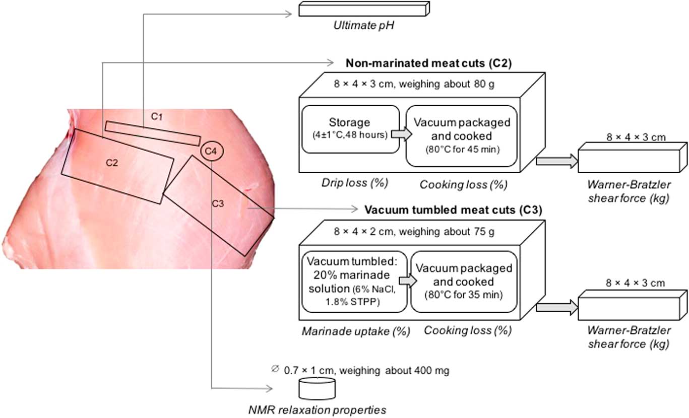 The relationship between L* and pH values in turkey breast fillets in