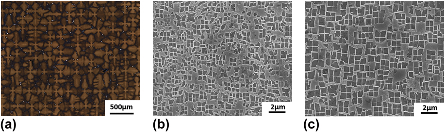 Mechanical behavior of a DD5 single crystal superalloy with different ...