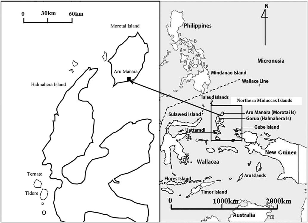 Early Metal Age interactions in Island Southeast Asia and Oceania 