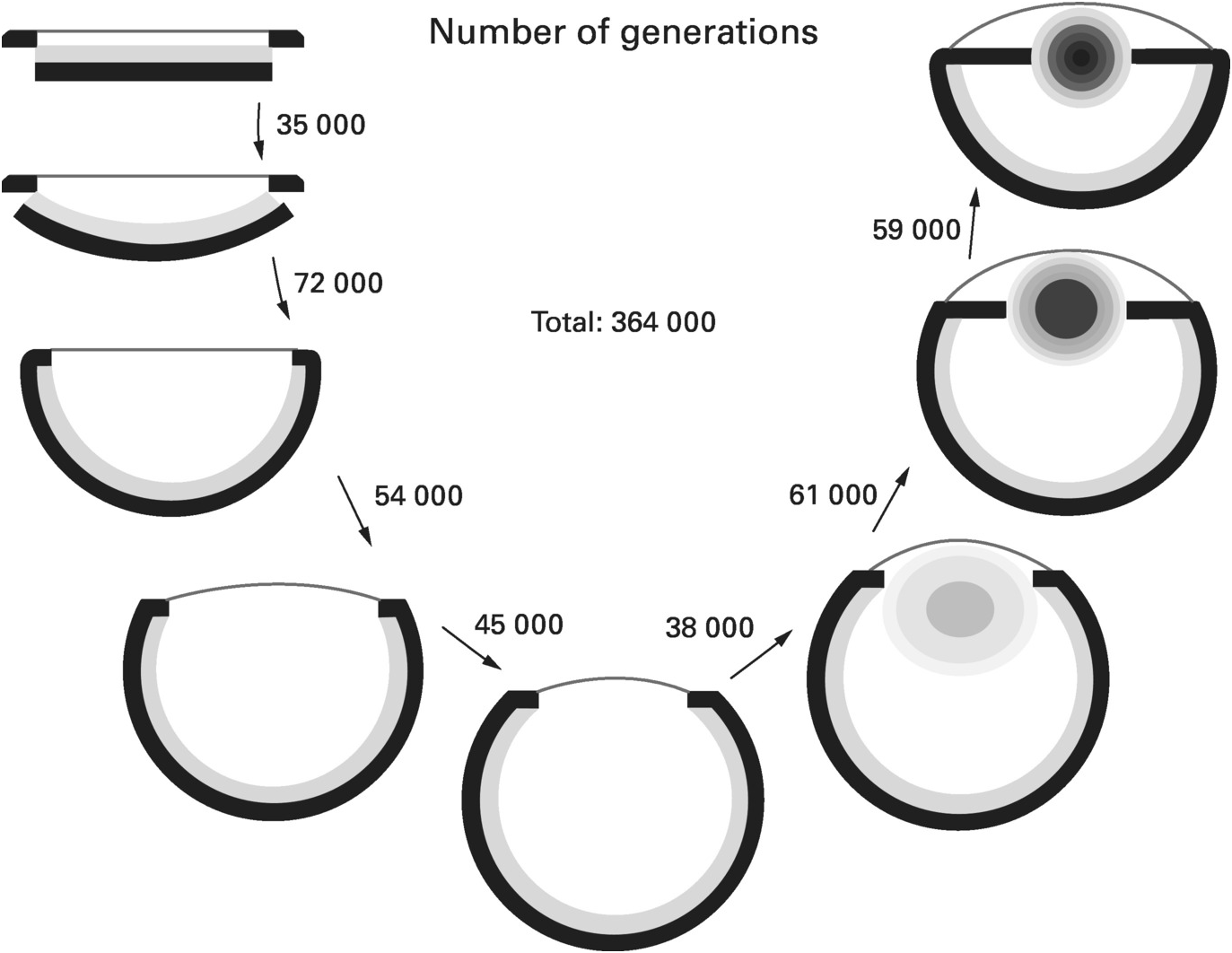 The World According To Evolution Chapter 2 Human Evolution Beyond Biology And Culture