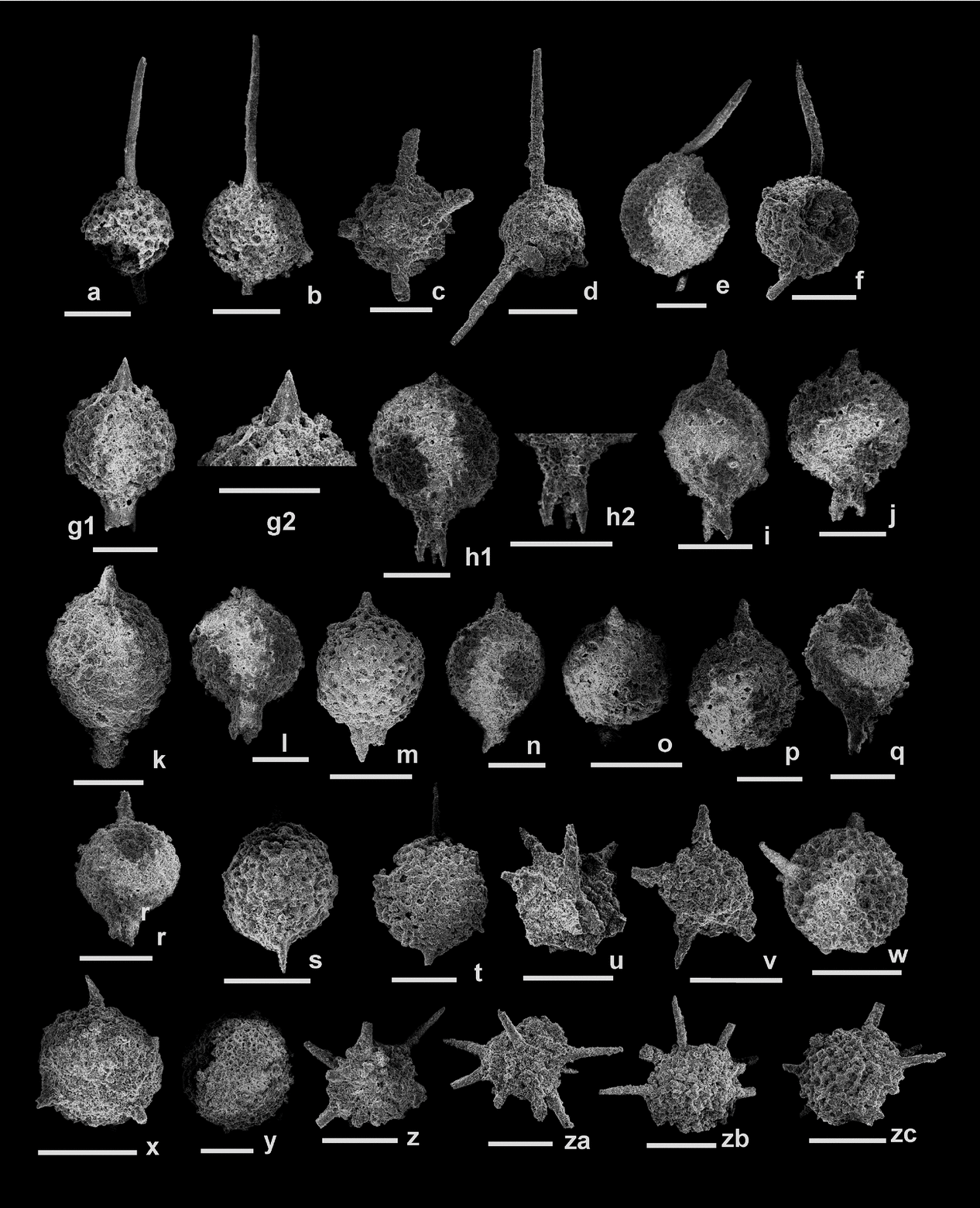 Silurian Radiolarians From The Sepon Mine Truong Son Terrane Central Laos And Their Palaeogeographic And Tectonic Significance Geological Magazine Cambridge Core