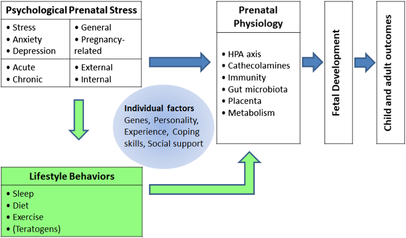 Antepartum urinary tract infection and postpartum depression in Taiwan – a  nationwide population-based study, BMC Pregnancy and Childbirth