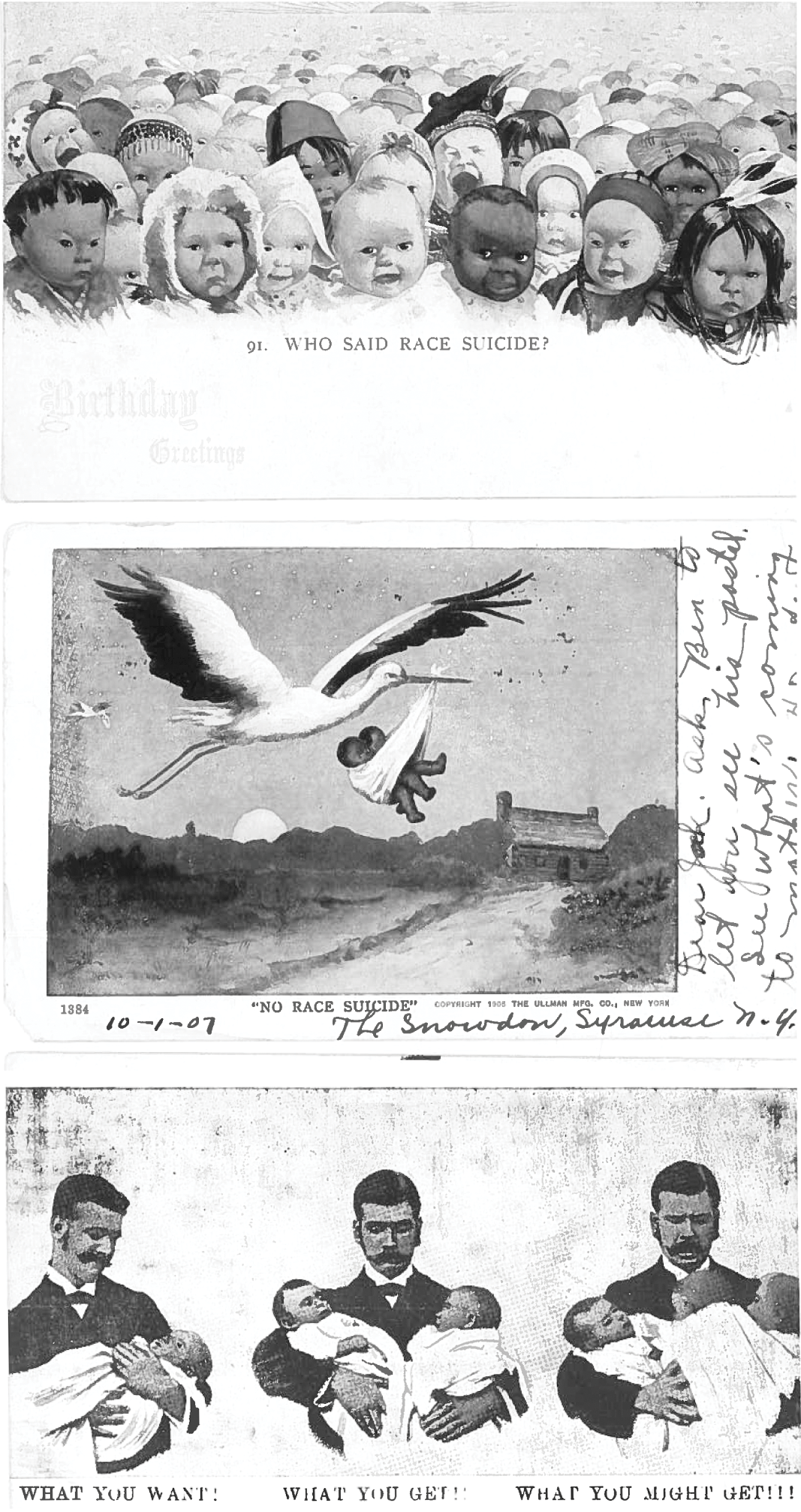 Race Suicide (Chapter 2) - Birth Control and American Modernity