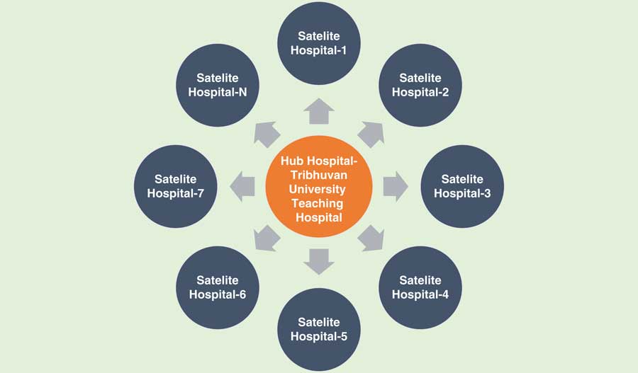 The Health Sector Response to the 2015 Earthquake in Nepal Disaster