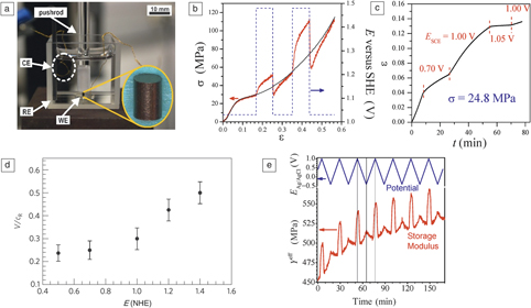 Mechanical Response Of Nanoporous Metals A Story Of Size - 