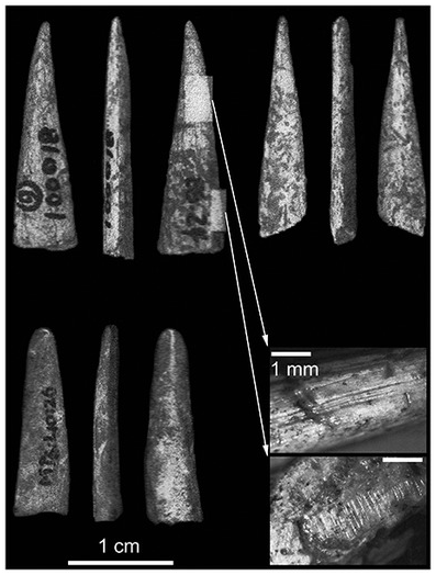 paleolithic bone tools