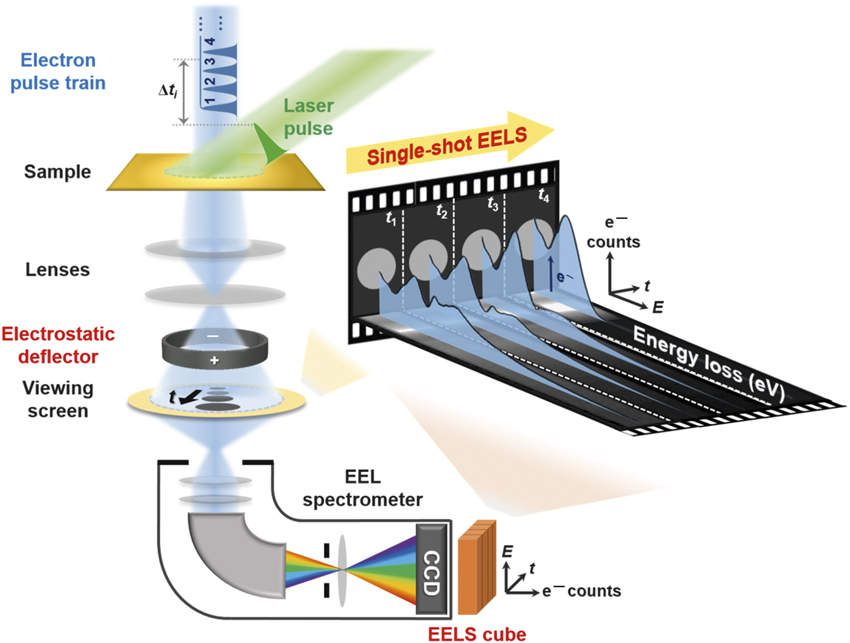 Ultrafast Electron Energy-loss Spectroscopy In Transmission Electron ...