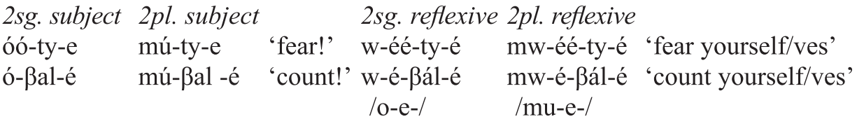 Positional Prominence Versus Word Accent Chapter 2 The Study Of Word Stress And Accent