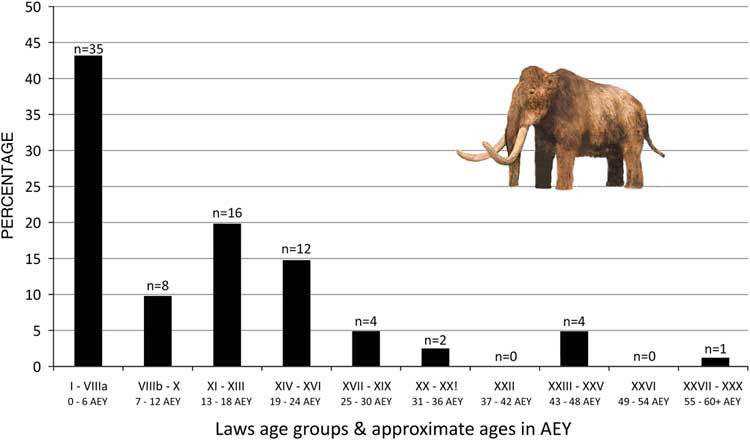 Elephant Age Chart