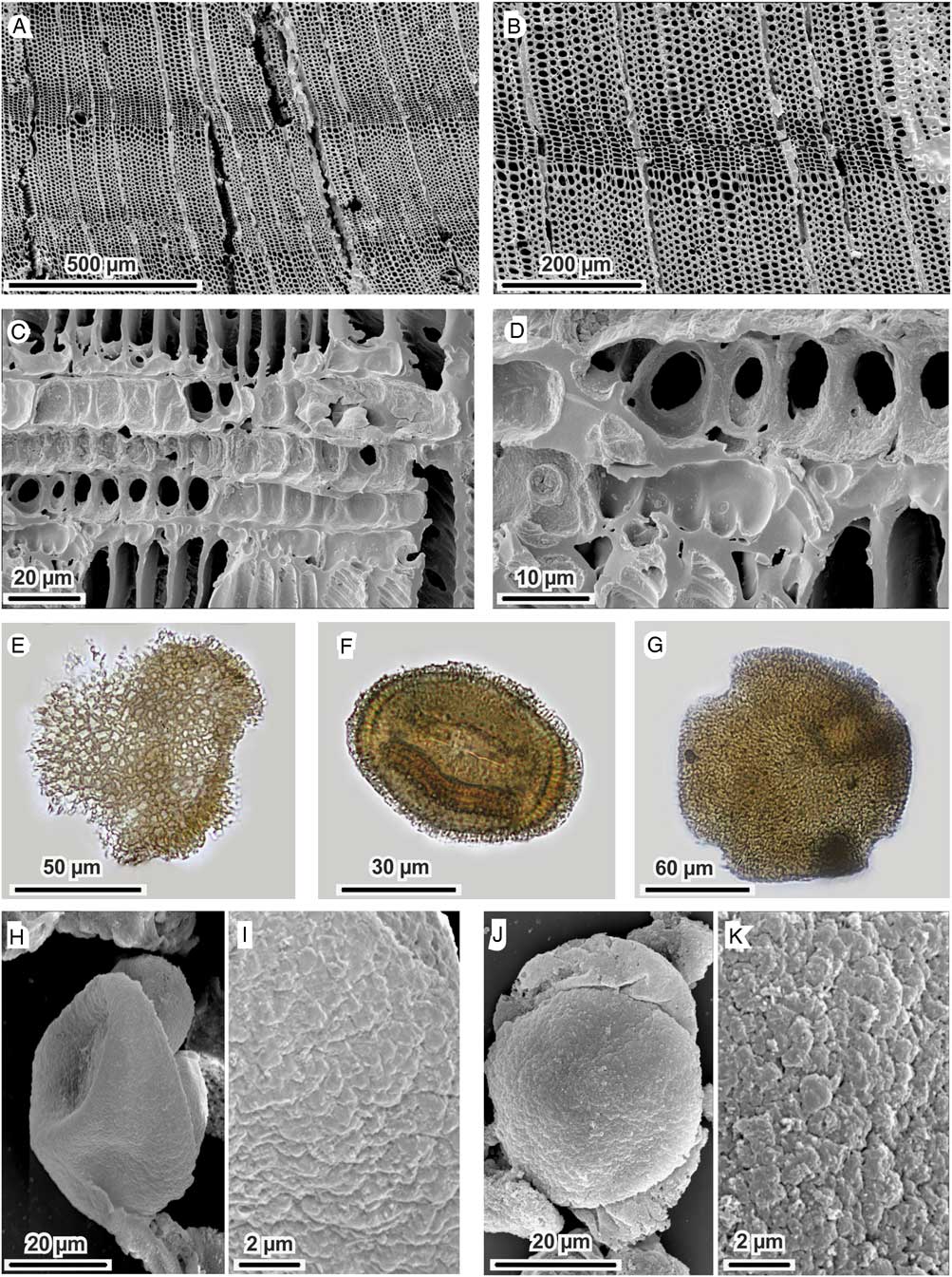 Human Settlement And Vegetation Climate Relationships In The Greenland Stadial 5 At The Piovesello Site Northern Apennines Italy Quaternary Research Cambridge Core