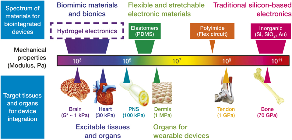 Perspectives on frontiers in electronic and photonic materials