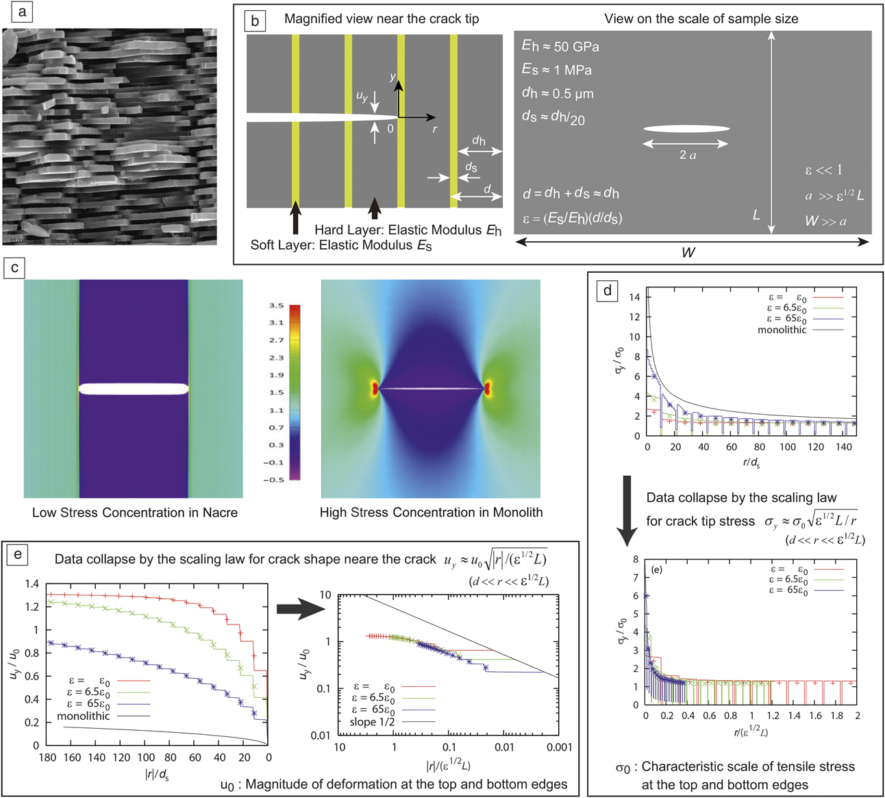 Strength And Toughness Of Biocomposites Consisting Of Soft And Hard Elements A Few Fundamental Models Mrs Bulletin Cambridge Core