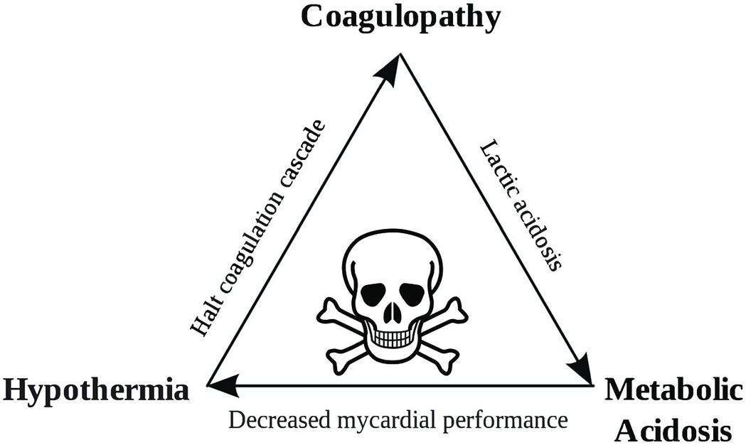 Combating the Trauma Triad of Death - Fire Engineering Firefighter  Training and Fire Service News Rescue