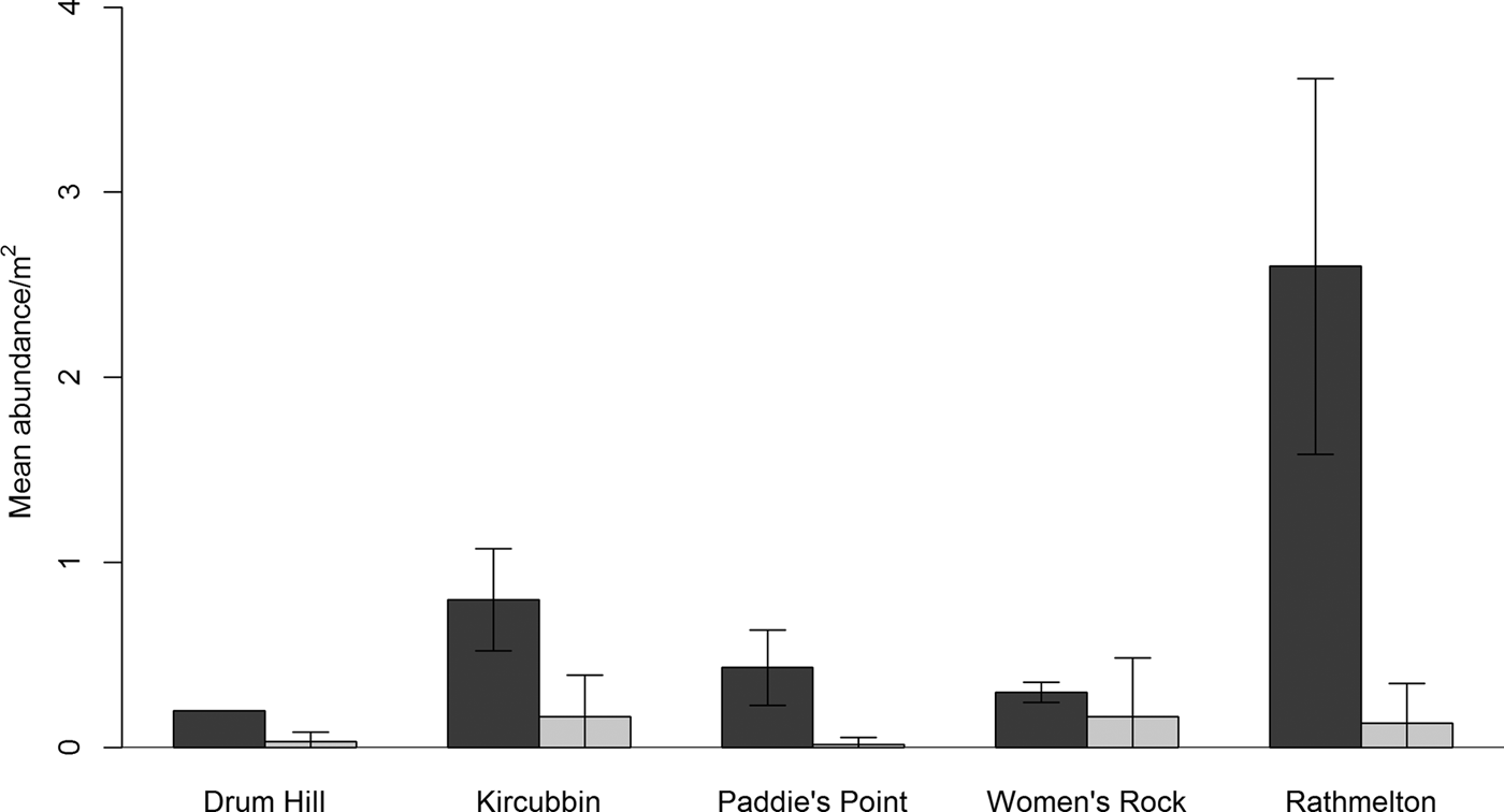 Co Occurrence Of Native Ostrea Edulis And Non Native Crassostrea Gigas Revealed By Monitoring Of Intertidal Oyster Populations Journal Of The Marine Biological Association Of The United Kingdom Cambridge Core