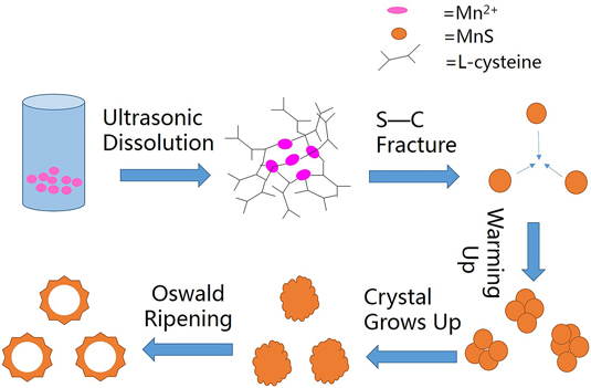 Solvothermal Synthesis Of Manganese Sulfides And Control Of Their Phase ...