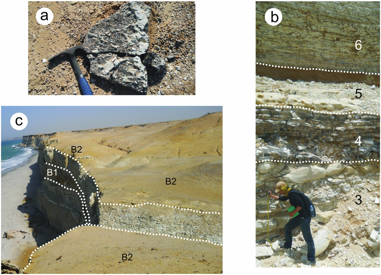 Geology, biostratigraphy and carbon isotope chemostratigraphy of the ...