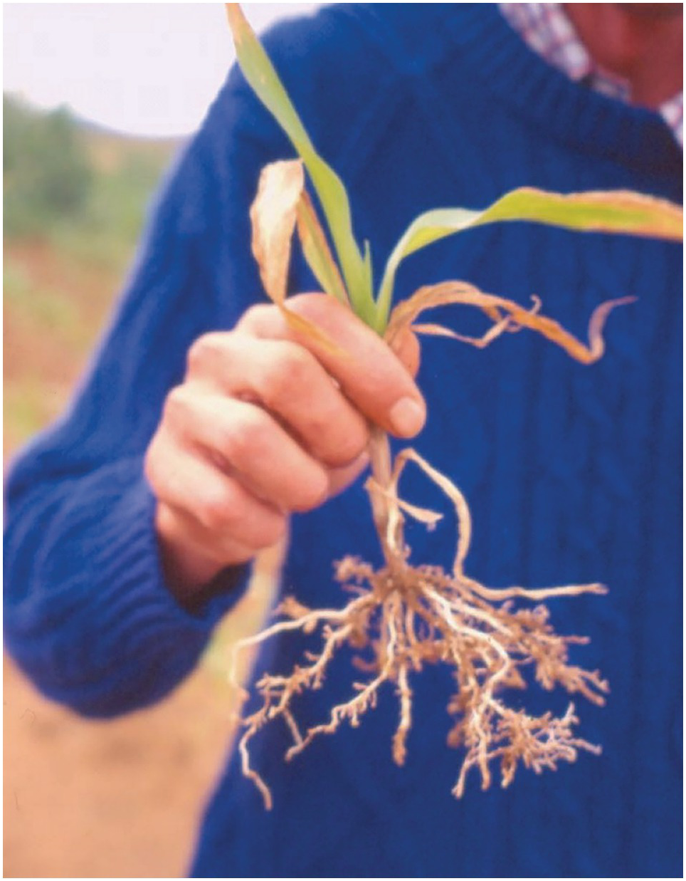 Meghann loney hi-res stock photography and images - Alamy, image size:964x1237