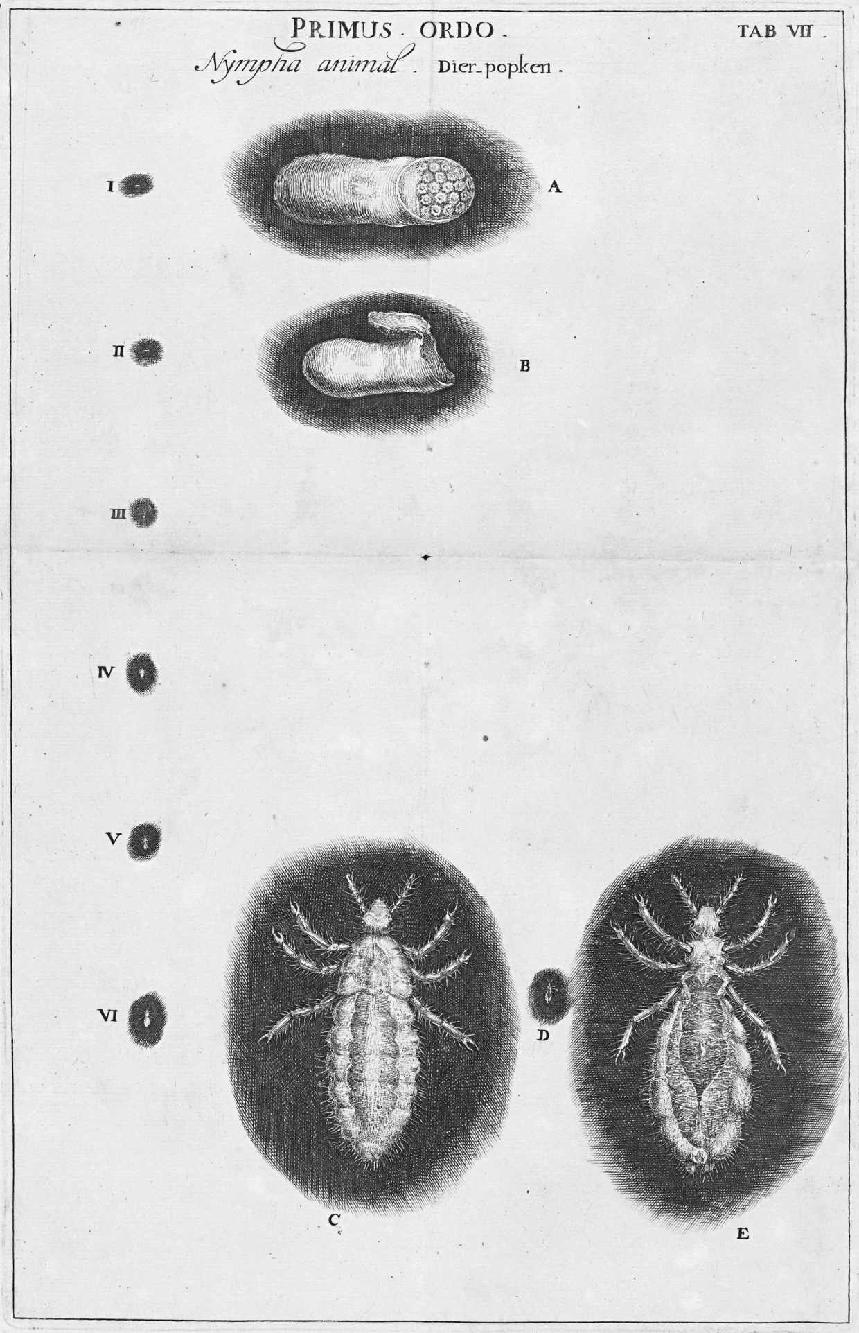 Early Modern Ventures I Worlds Of Natural History