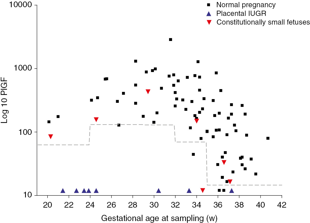 constitutionally small baby
