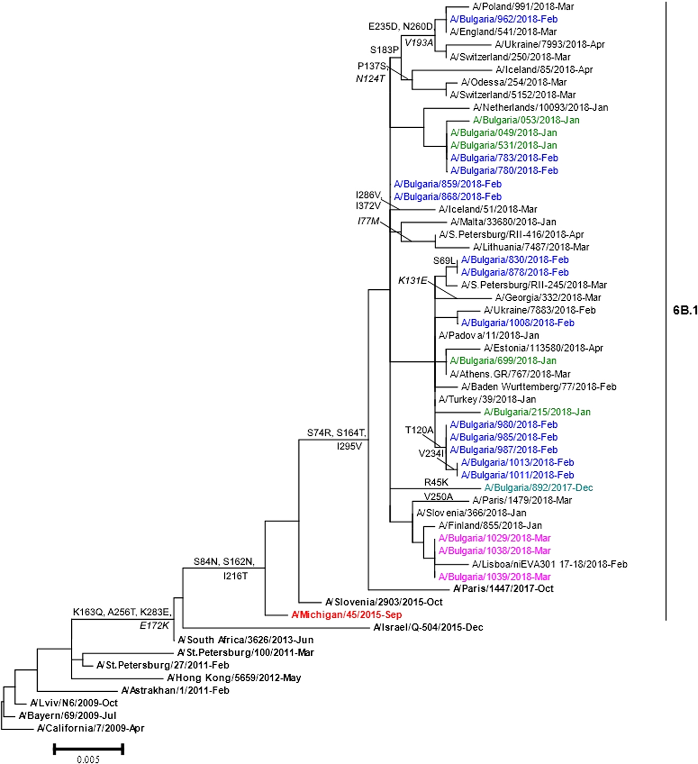 Predominance Of Influenza B/Yamagata Lineage Viruses In Bulgaria During ...