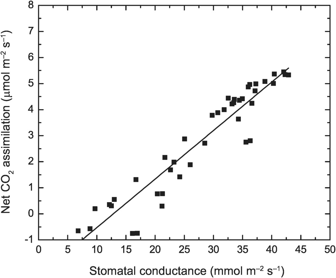 Stomatal Conductance Chapter 12 Climate Change And Terrestrial Ecosystem Modeling