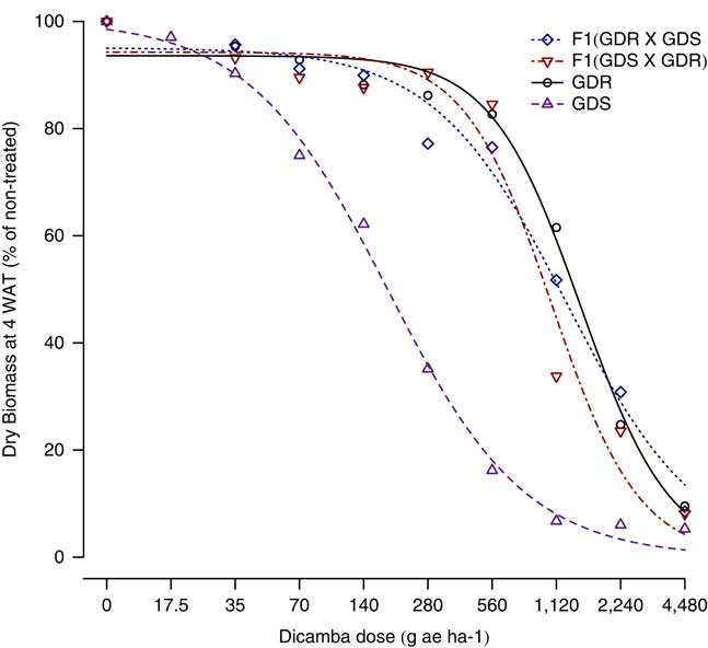 Glyphosate And Dicamba Resistant Genes Are Not Linked In Kochia Bassia Scoparia Weed Science Cambridge Core Glyphosate And Dicamba Resistant Genes Are Not Linked In Kochia Bassia Scoparia Weed Science Cambridge Core