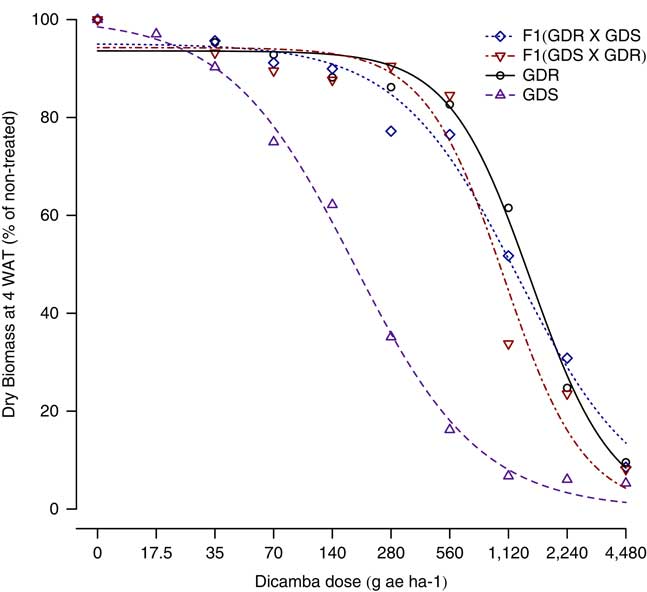 Glyphosate And Dicamba Resistant Genes Are Not Linked In Kochia Bassia Scoparia Weed Science Cambridge Core