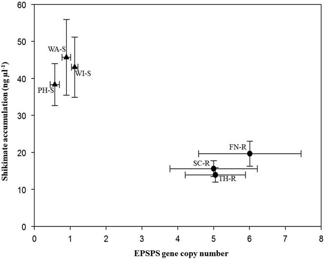 No Impact Of Increased EPSPS Gene Copy Number On Growth And Fecundity ...