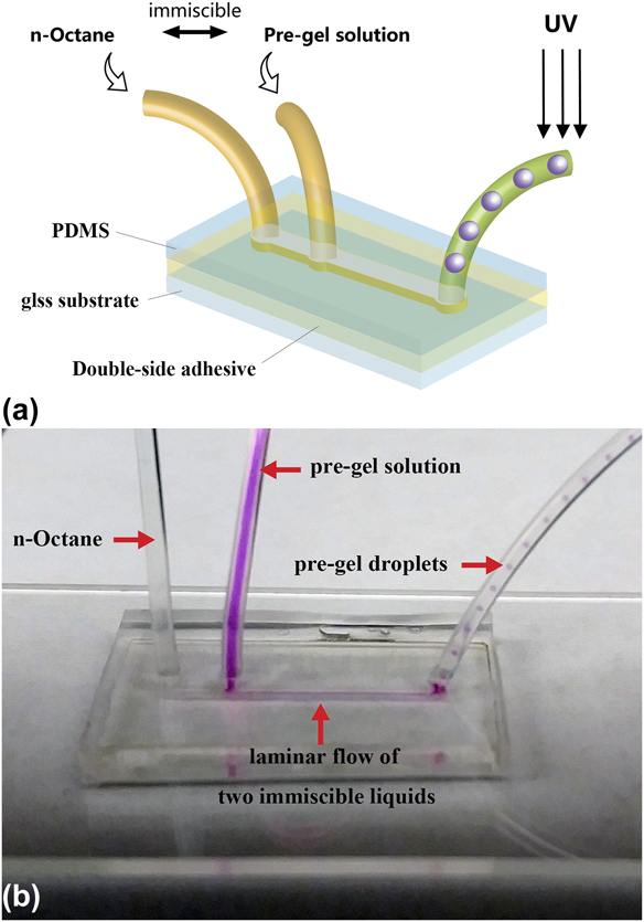 Inclusion of Hydrophobic Liquids in Silica Aerogel Microparticles in an  Aqueous Process: Microencapsulation and Extra Pore Creation