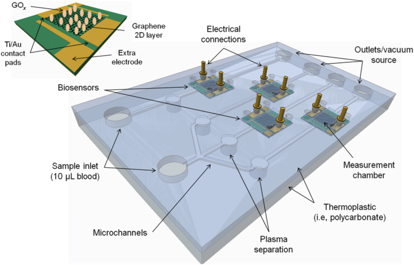 Multi-organ on a chip for personalized precision medicine | MRS ...