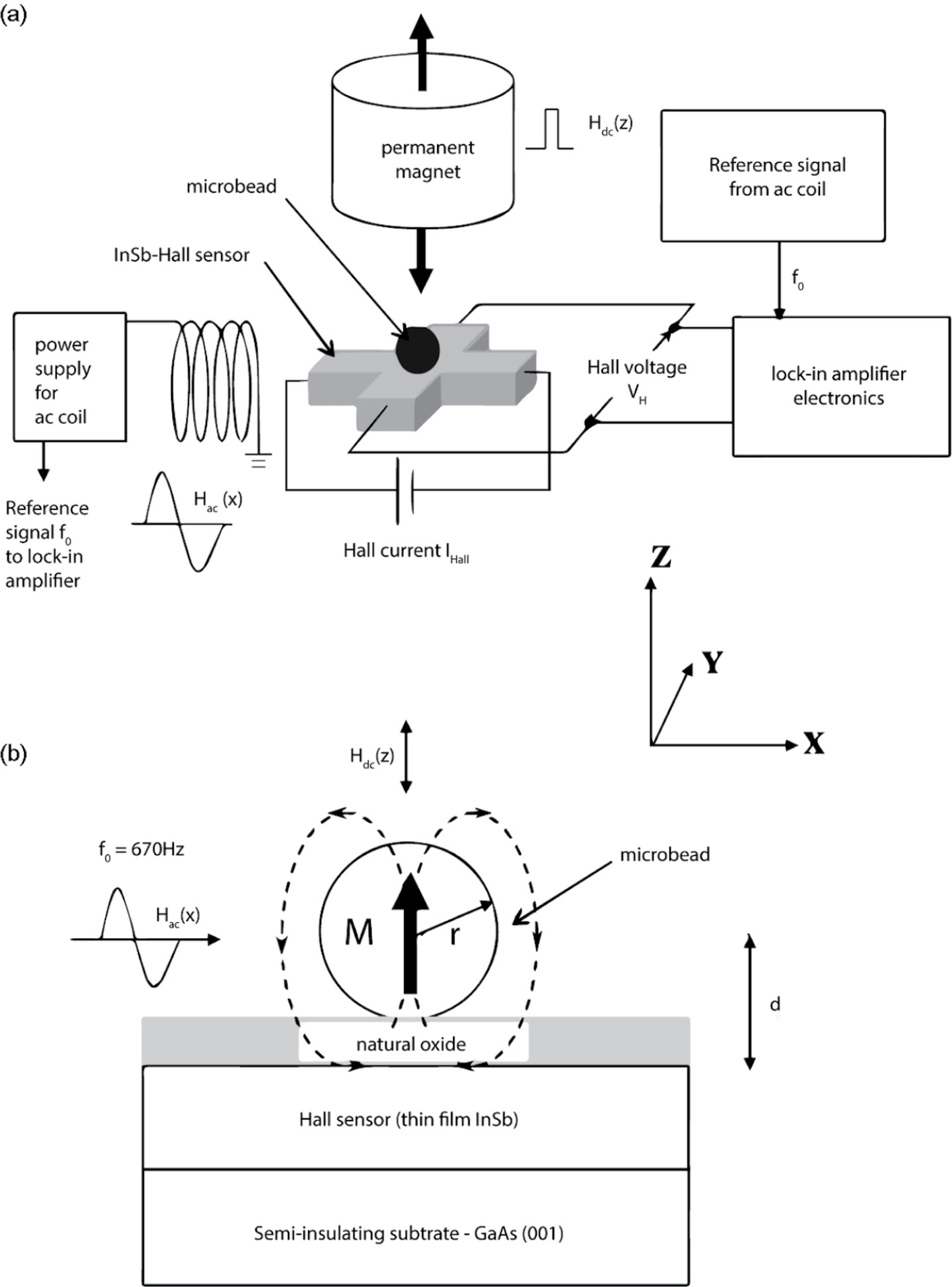 Sensing Magnetic Nanoparticles Chapter 6 Magnetic Nanoparticles In Biosensing And Medicine