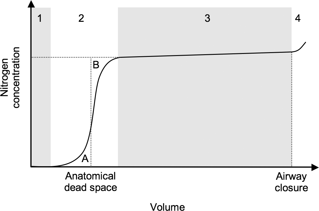 anatomic dead space