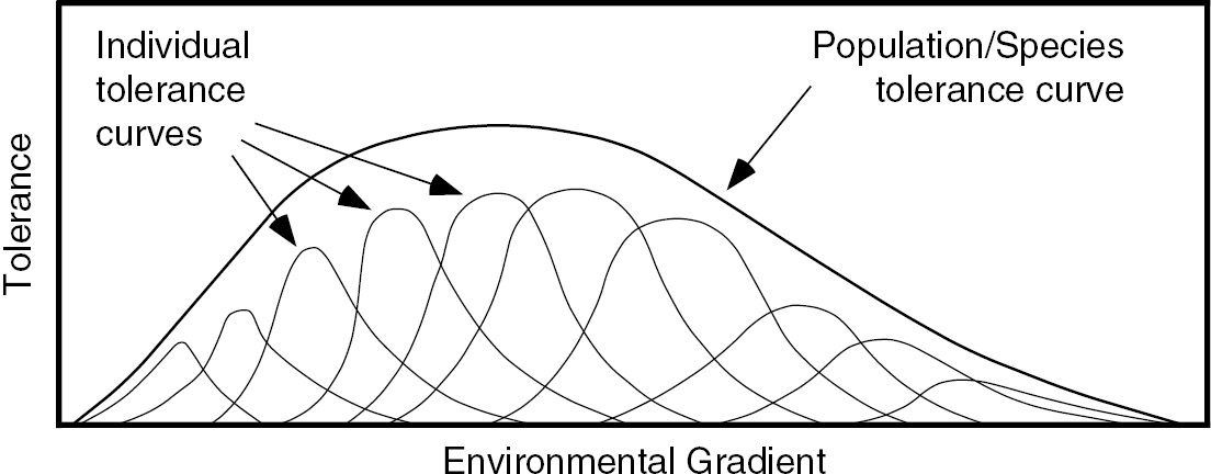 what is environmental gradient
