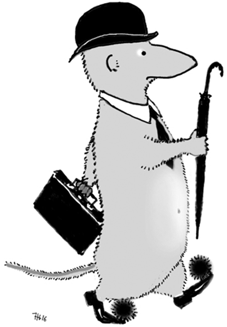 A Surprising Family Legacy Molecular >> Phylogeography Chapter 4 Shrews Chromosomes And Speciation A Surprising Family Legacy Molecular >> Phylogeography Chapter 4 Shrews Chromosomes And Speciation