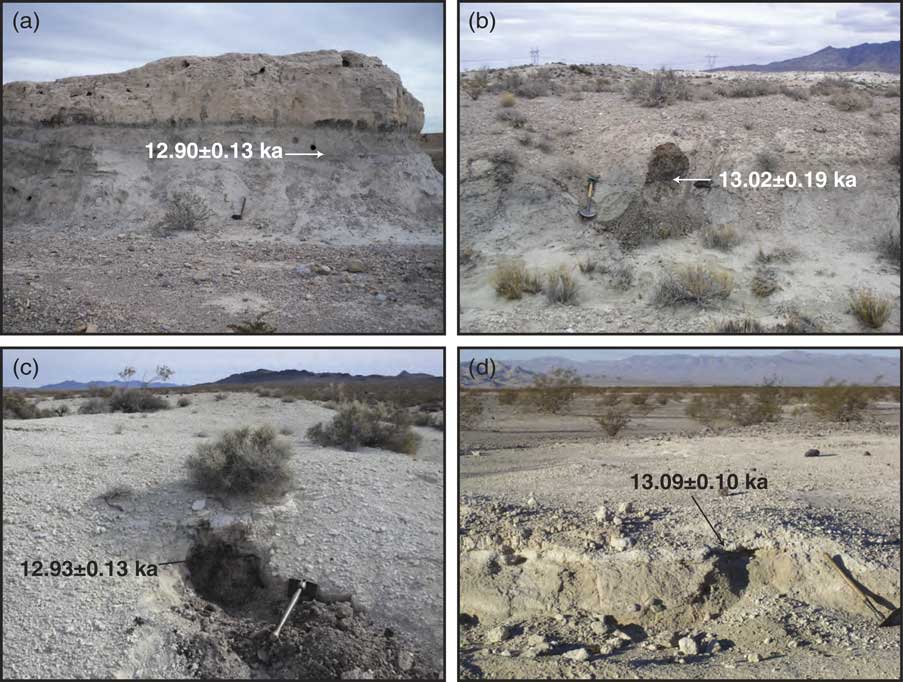 Younger Dryas “black mats” and the Rancholabrean termination in North  America